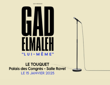 gad-elmaleh2-371x289 - 2